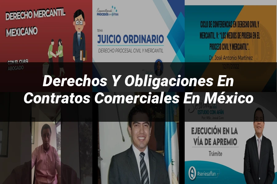 "Derechos y Obligaciones en Contratos Comerciales en México"