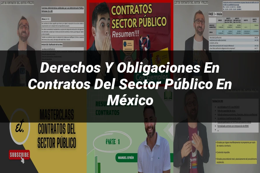 "Derechos y Obligaciones en Contratos del Sector Público en México"