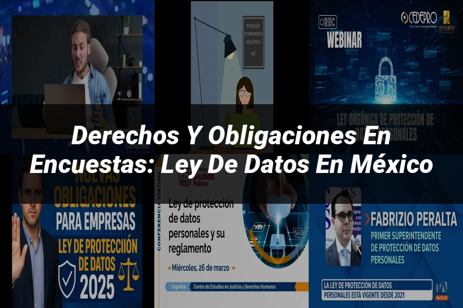 "Derechos y Obligaciones en Encuestas: Ley de Datos en México"