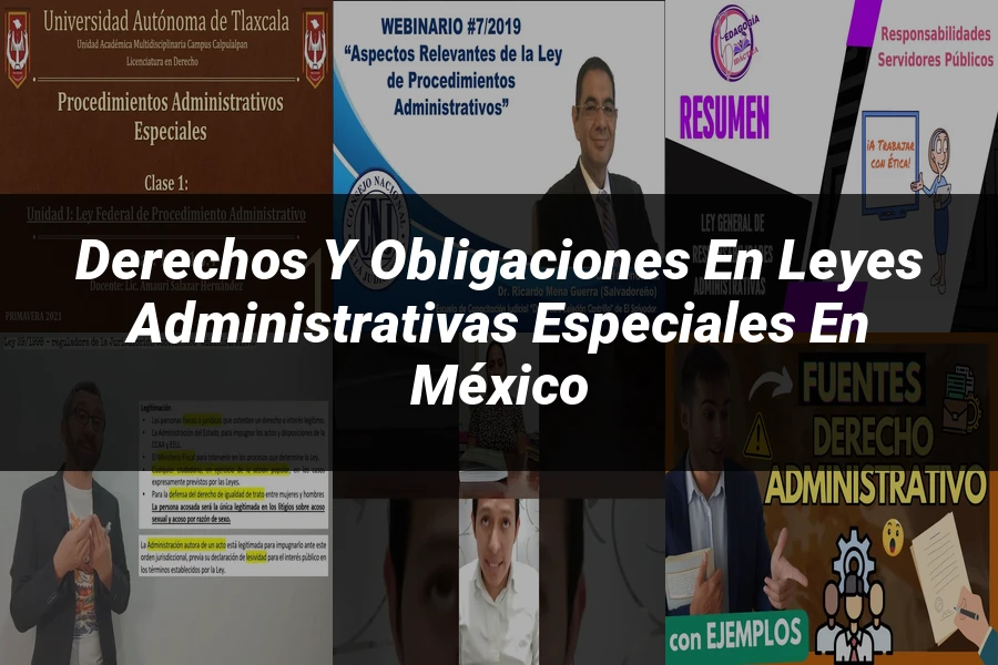 "Derechos y Obligaciones en Leyes Administrativas Especiales en México"