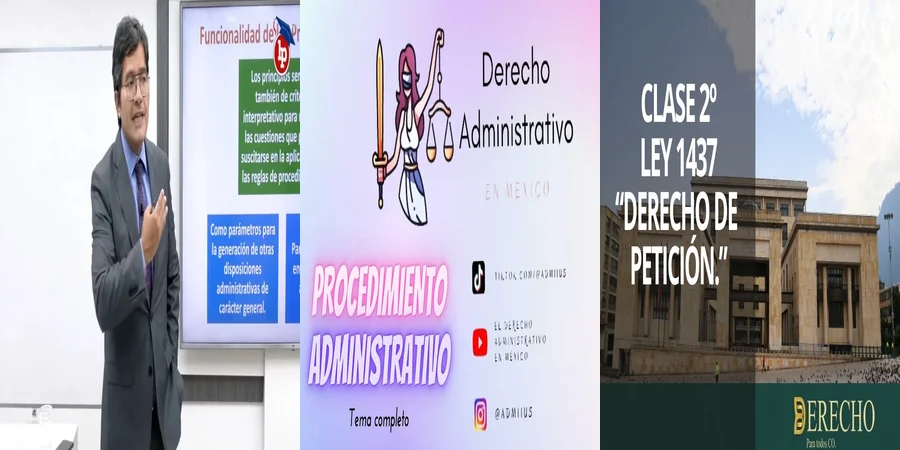 "Derechos y Obligaciones en Leyes Administrativas Especiales en México"