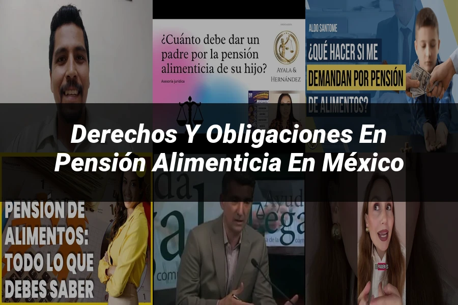 "Derechos y Obligaciones en Pensión Alimenticia en México"