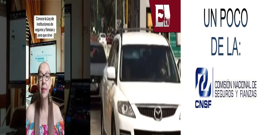 "Derechos y Obligaciones en Seguros y Fianzas en México"