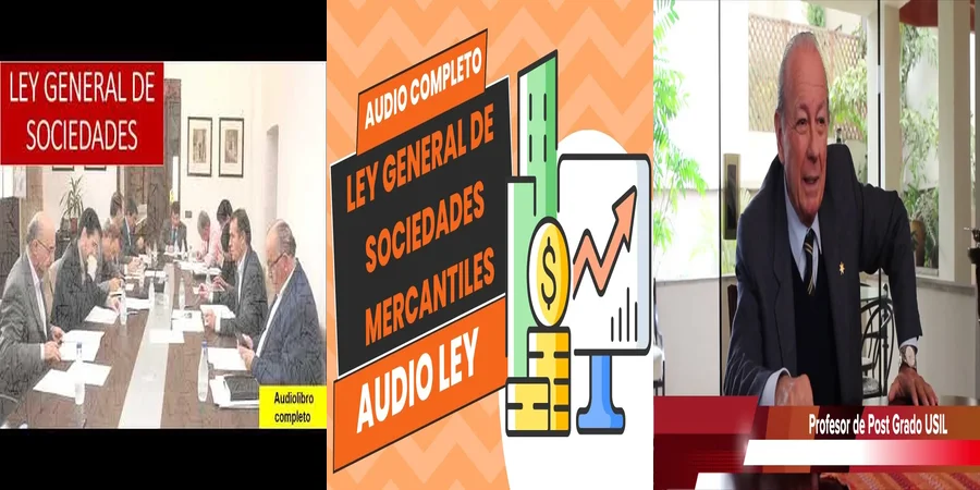 "Derechos y Obligaciones en Sociedades: Claves Legales en México"