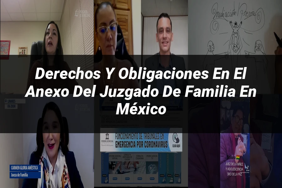 "Derechos y Obligaciones en el Anexo del Juzgado de Familia en México"