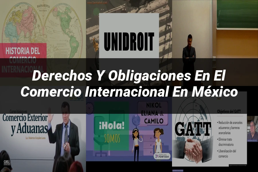 "Derechos y Obligaciones en el Comercio Internacional en México"