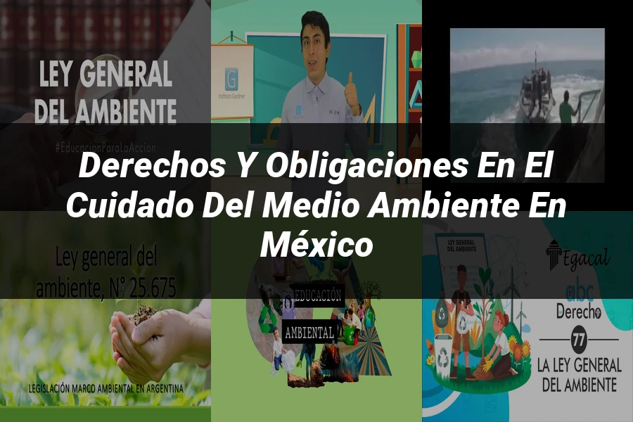 "Derechos y Obligaciones en el Cuidado del Medio Ambiente en México"