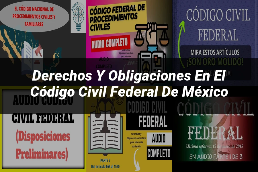 "Derechos y Obligaciones en el Código Civil Federal de México"