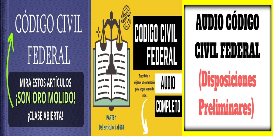 "Derechos y Obligaciones en el Código Civil Federal de México"