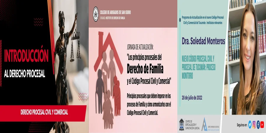 "Derechos y Obligaciones en el Código Procesal Civil Mexicano"