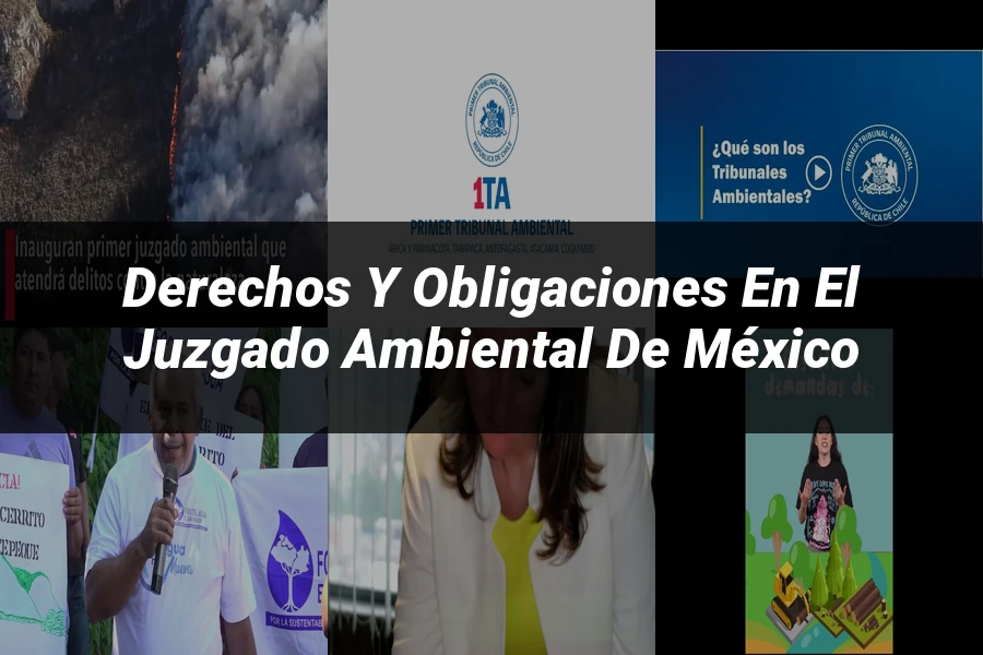 "Derechos y Obligaciones en el Juzgado Ambiental de México"