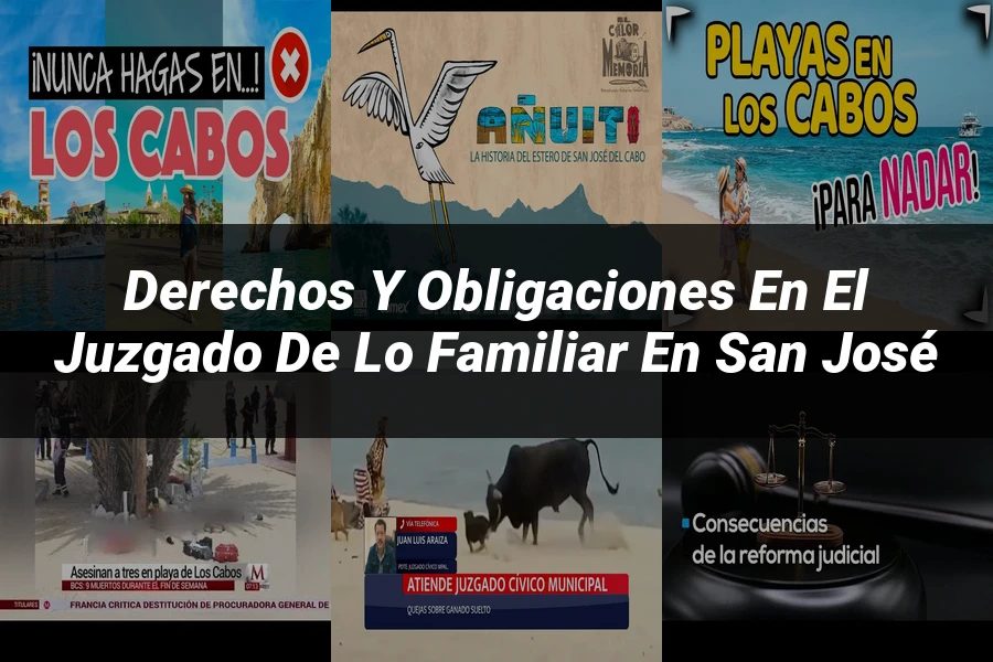 "Derechos y Obligaciones en el Juzgado de lo Familiar en San José"