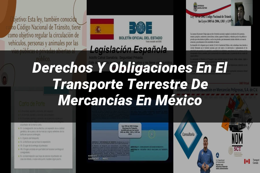 "Derechos y Obligaciones en el Transporte Terrestre de Mercancías en México"