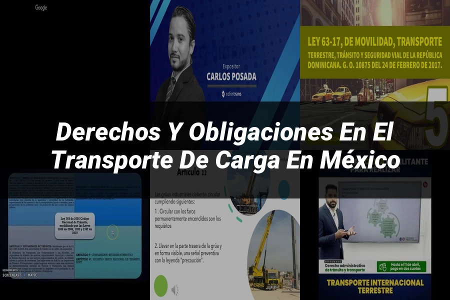 "Derechos y Obligaciones en el Transporte de Carga en México"