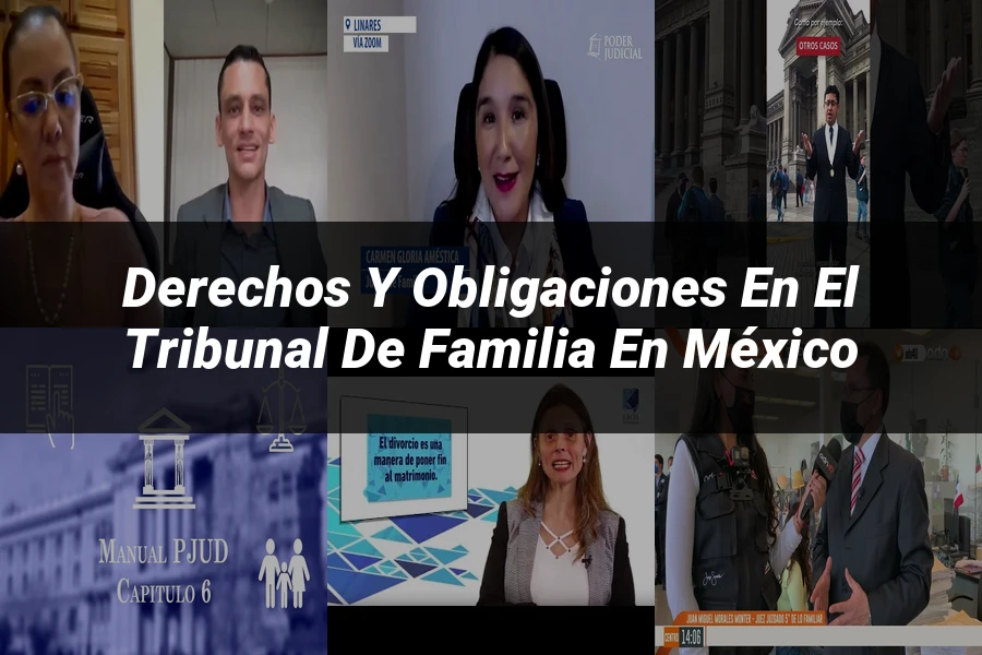 "Derechos y Obligaciones en el Tribunal de Familia en México"