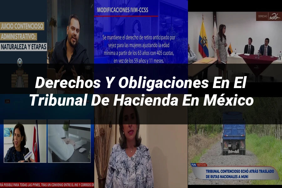 "Derechos y Obligaciones en el Tribunal de Hacienda en México"
