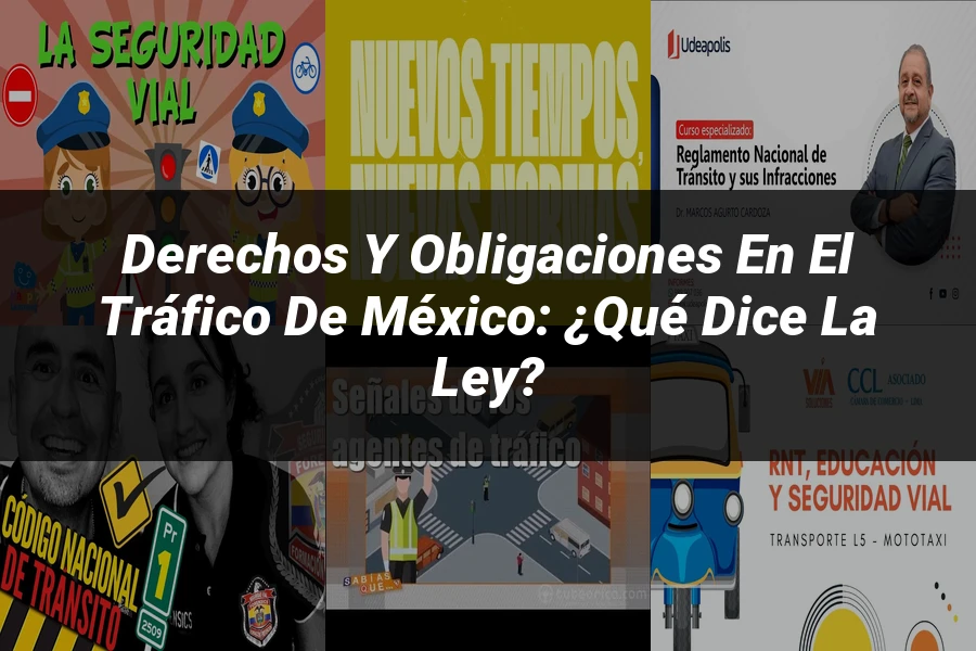 "Derechos y Obligaciones en el Tráfico de México: ¿Qué Dice la Ley?"