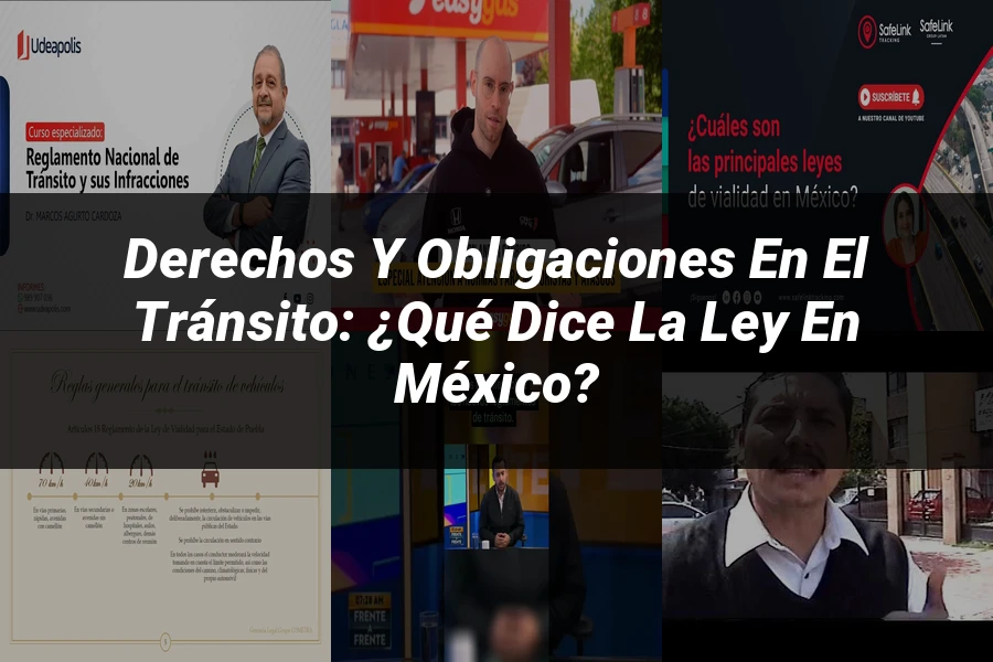 "Derechos y Obligaciones en el Tránsito: ¿Qué Dice la Ley en México?"