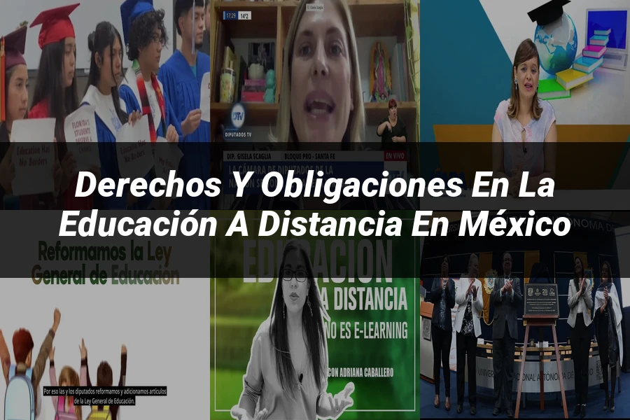 "Derechos y Obligaciones en la Educación a Distancia en México"
