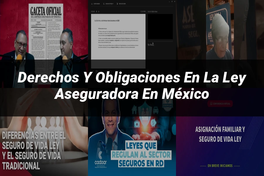 "Derechos y Obligaciones en la Ley Aseguradora en México"