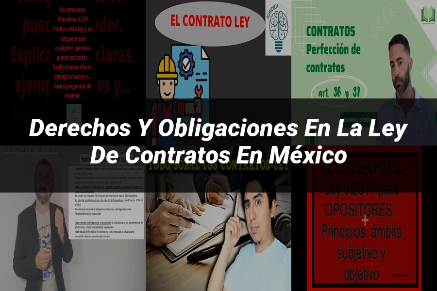 "Derechos y Obligaciones en la Ley de Contratos en México"
