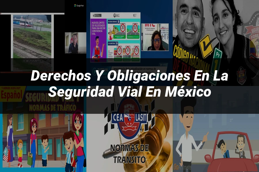 "Derechos y Obligaciones en la Seguridad Vial en México"