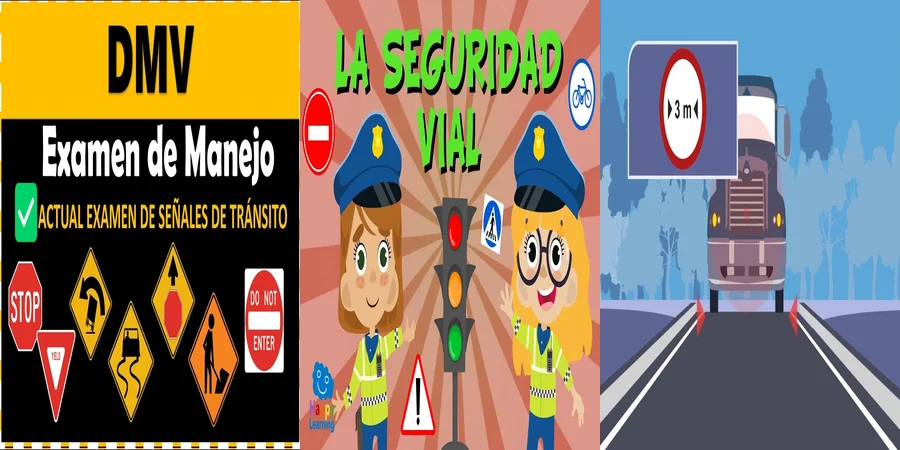 "Derechos y Obligaciones en la Señalización Vial en México"