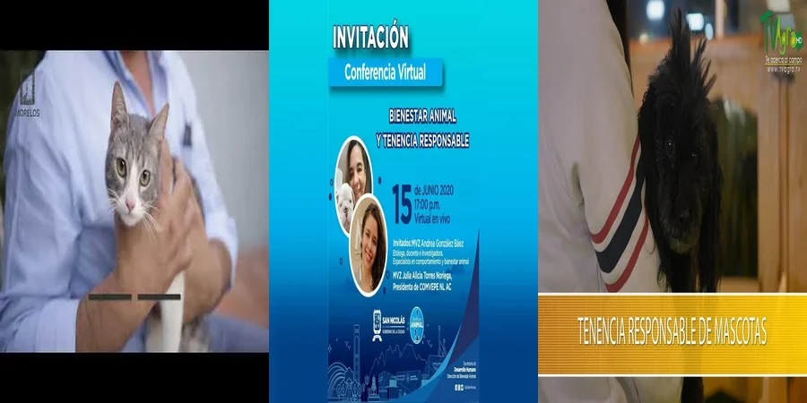 "Derechos y Obligaciones en la Tenencia Responsable de Animales en México"