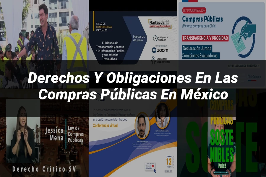 "Derechos y Obligaciones en las Compras Públicas en México"