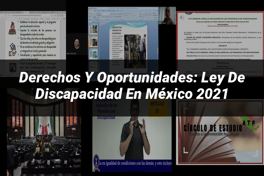 "Derechos y Oportunidades: Ley de Discapacidad en México 2021"