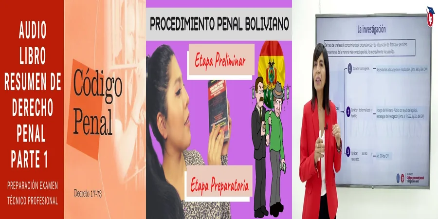 "Derechos y Procedimientos Clave en el Código Procesal Penal 2020"