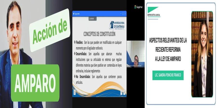 "Derechos y Procedimientos del Amparo en México: Lo Esencial"