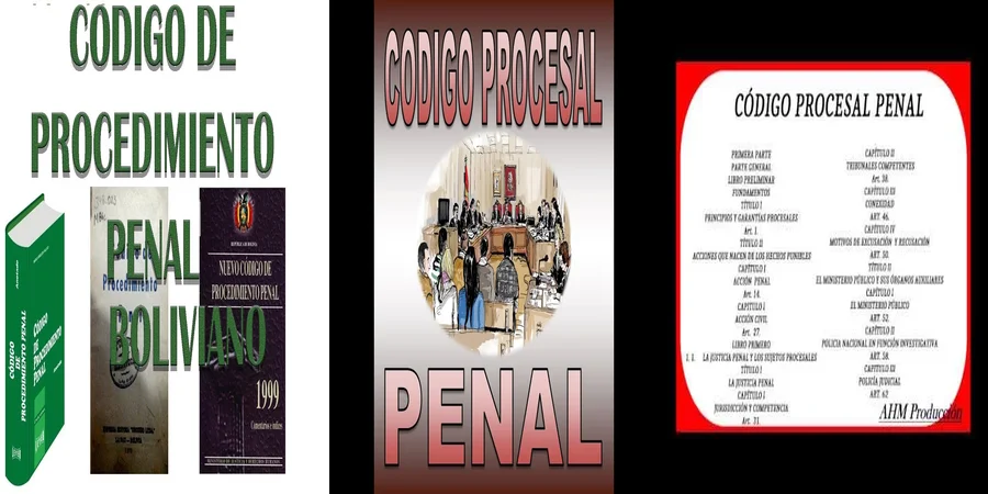 "Derechos y Procedimientos del Código Procesal Penal en México"