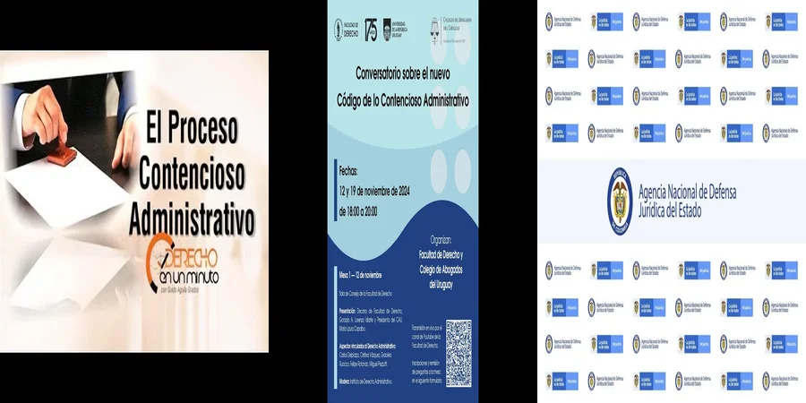 "Derechos y Procedimientos en el Código Contencioso Administrativo en México"