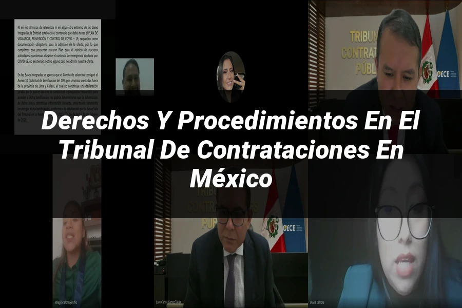 "Derechos y Procedimientos en el Tribunal de Contrataciones en México"