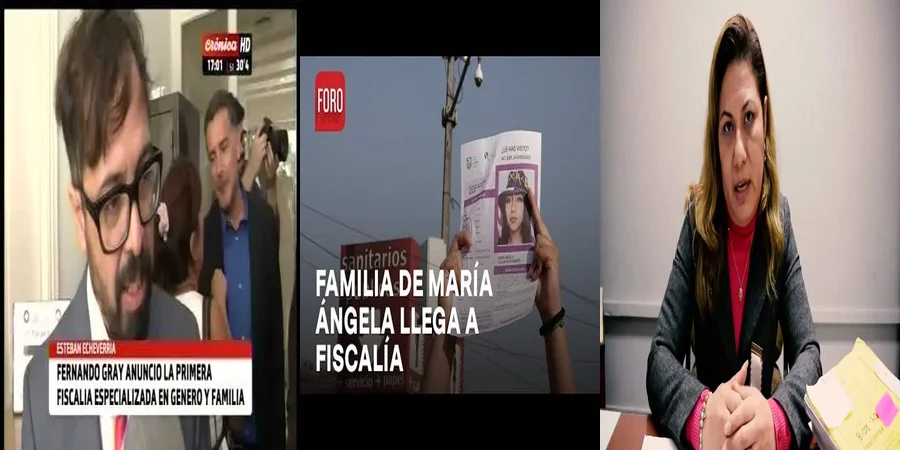 "Derechos y Procedimientos en la Fiscalía Especializada de Familia en México"