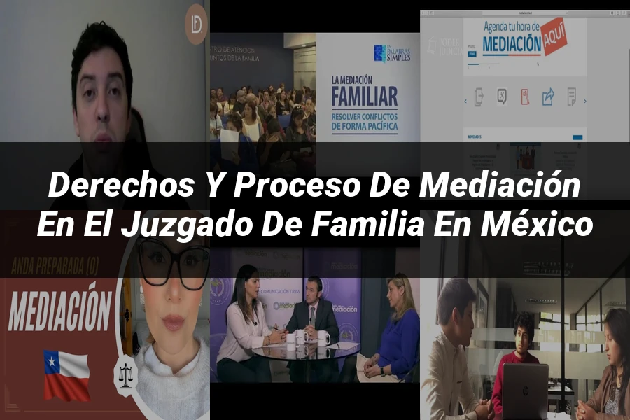 "Derechos y Proceso de Mediación en el Juzgado de Familia en México"