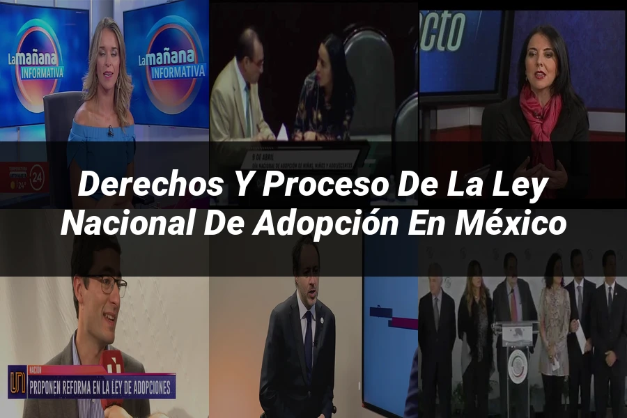 "Derechos y Proceso de la Ley Nacional de Adopción en México"