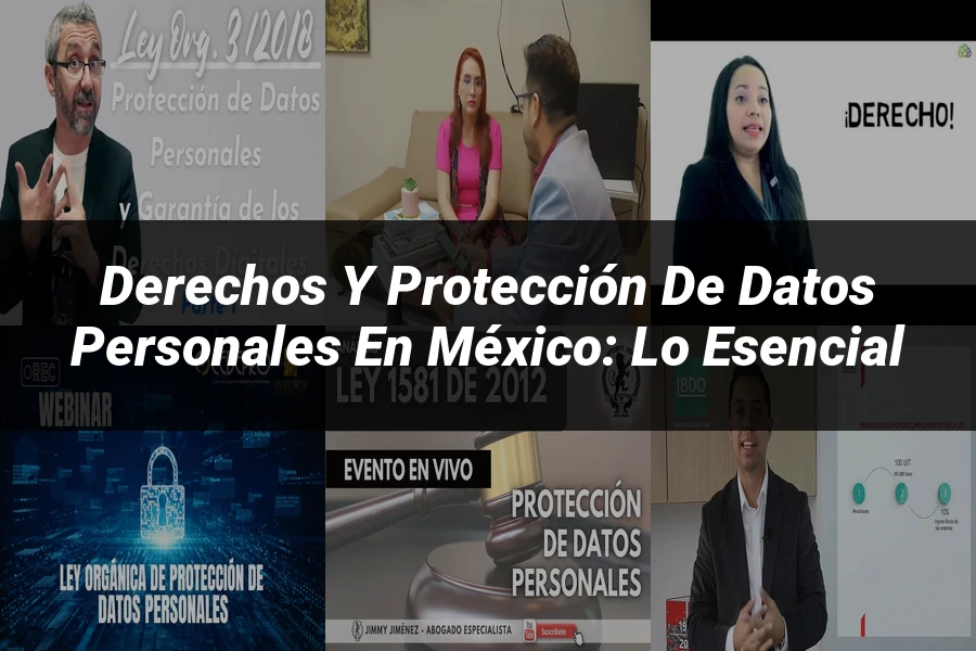 "Derechos y Protección de Datos Personales en México: Lo Esencial"