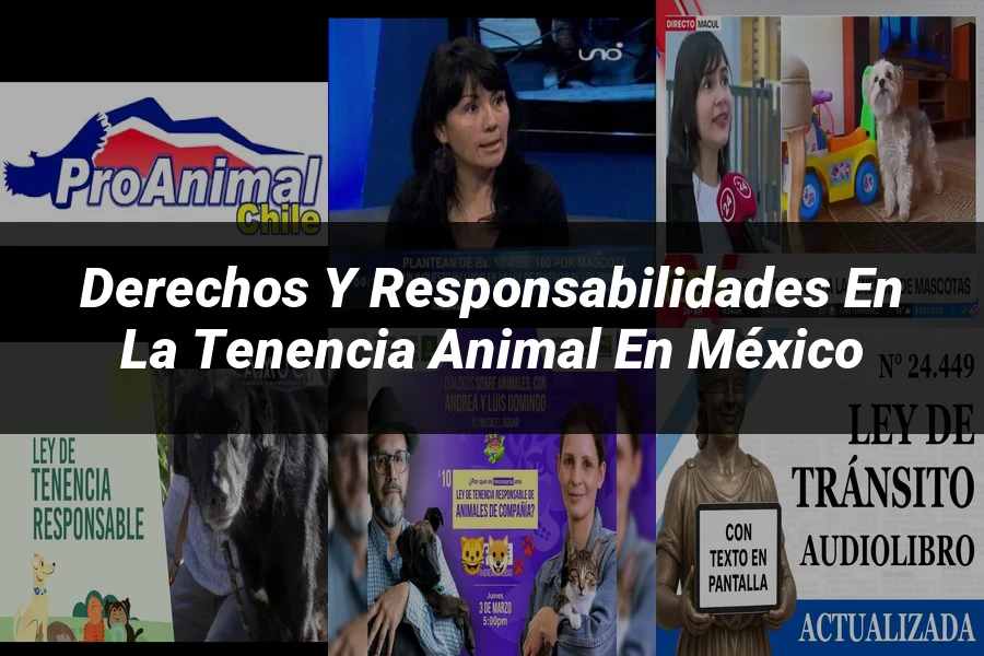 "Derechos y Responsabilidades en la Tenencia Animal en México"