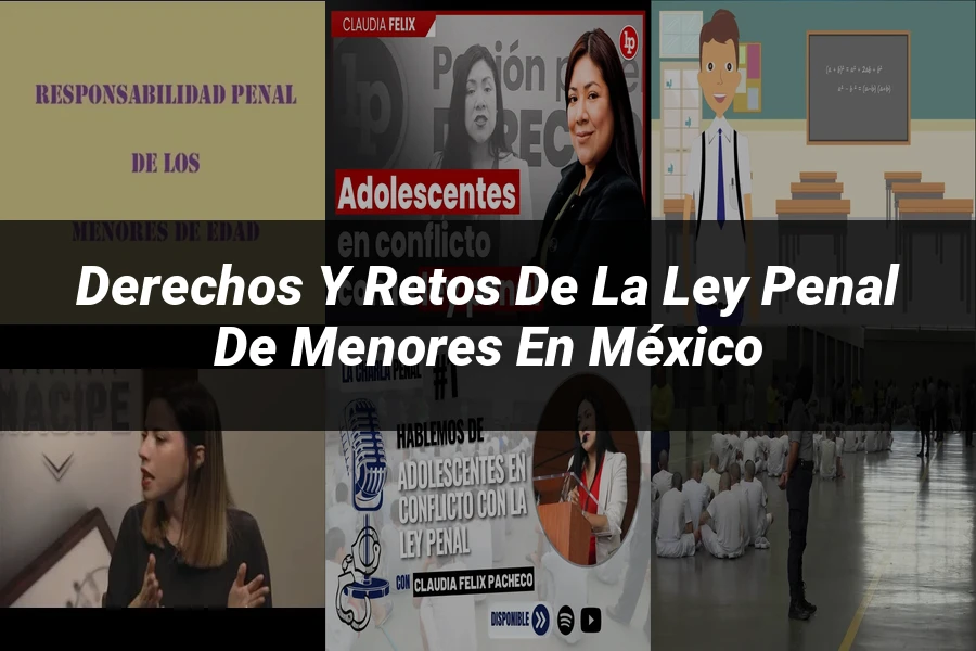 "Derechos y Retos de la Ley Penal de Menores en México"