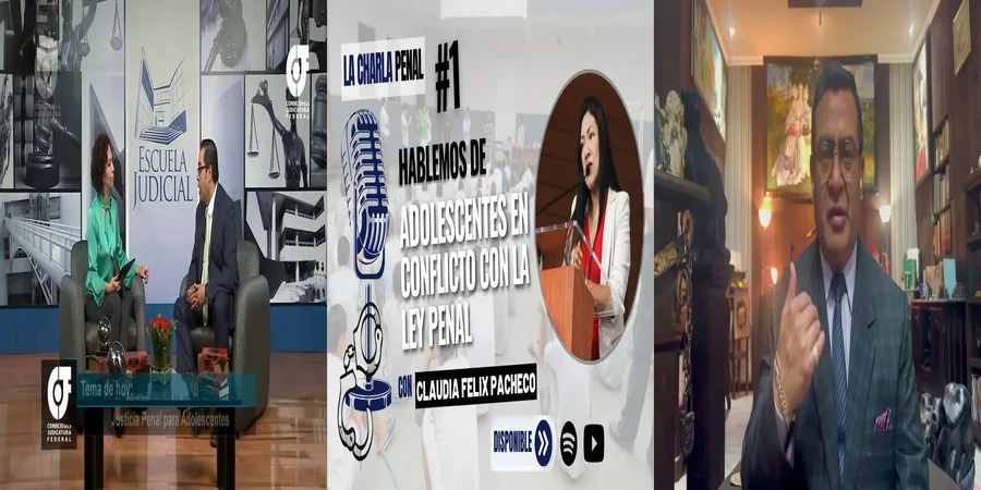"Derechos y Retos de la Ley Penal de Menores en México"
