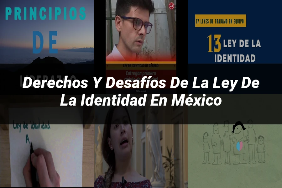 "Derechos y desafíos de la ley de la identidad en México"