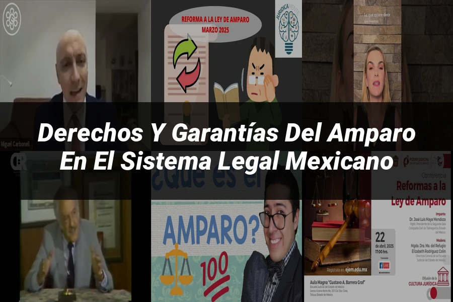 "Derechos y garantías del amparo en el sistema legal mexicano"