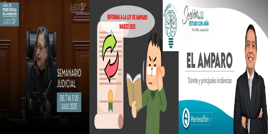 "Derechos y garantías del amparo en el sistema legal mexicano"