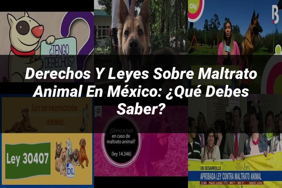 "Derechos y leyes sobre maltrato animal en México: ¿Qué debes saber?"