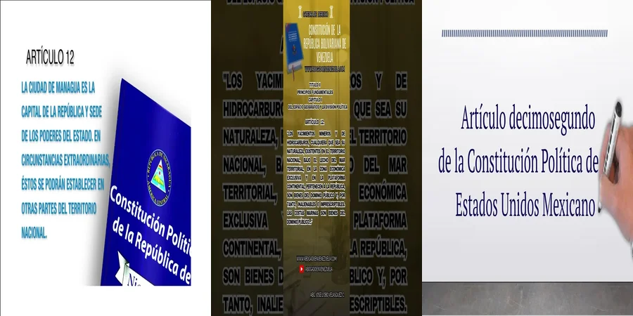 "Derechos y limitaciones según el artículo 12 en México"
