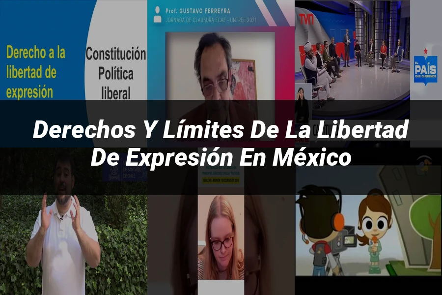 "Derechos y límites de la libertad de expresión en México"