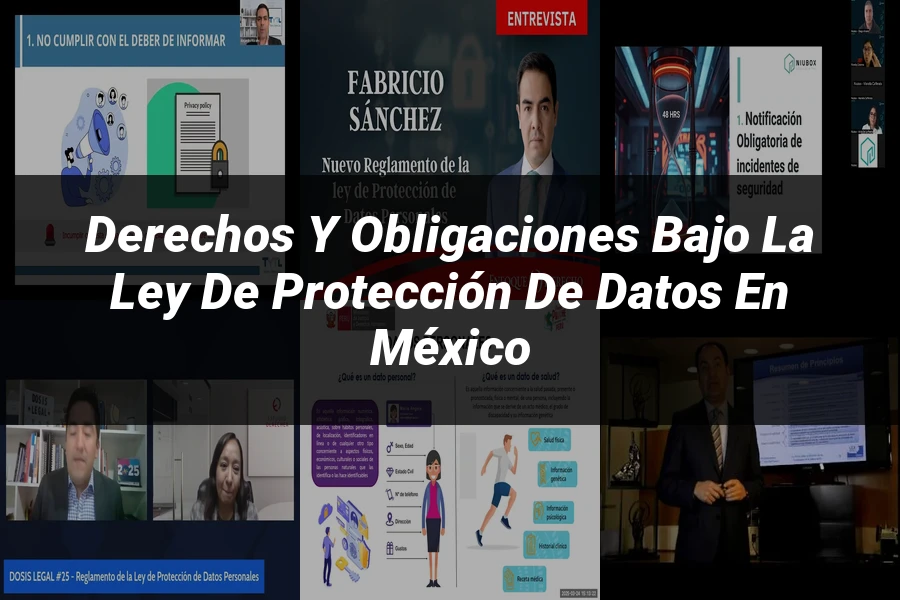 "Derechos y obligaciones bajo la ley de protección de datos en México"