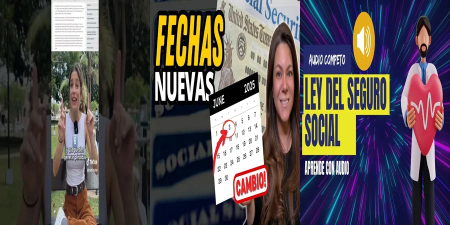 "Derechos y obligaciones bajo la ley de seguro social en México"